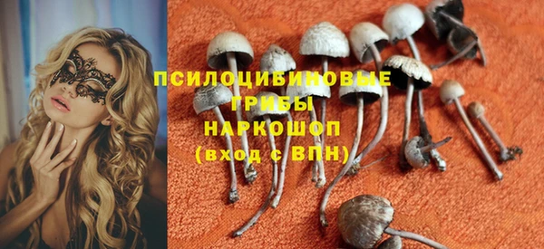 экстази Богородск