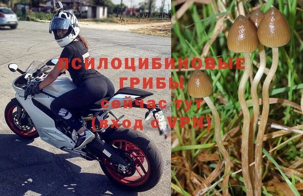 хмурый Богданович