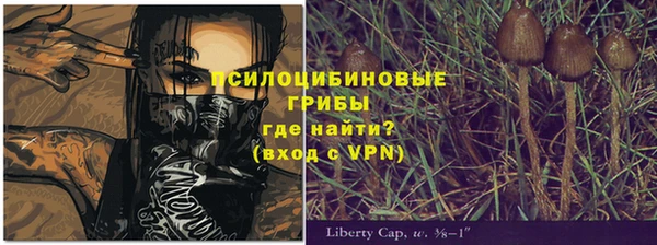 хмурый Богданович